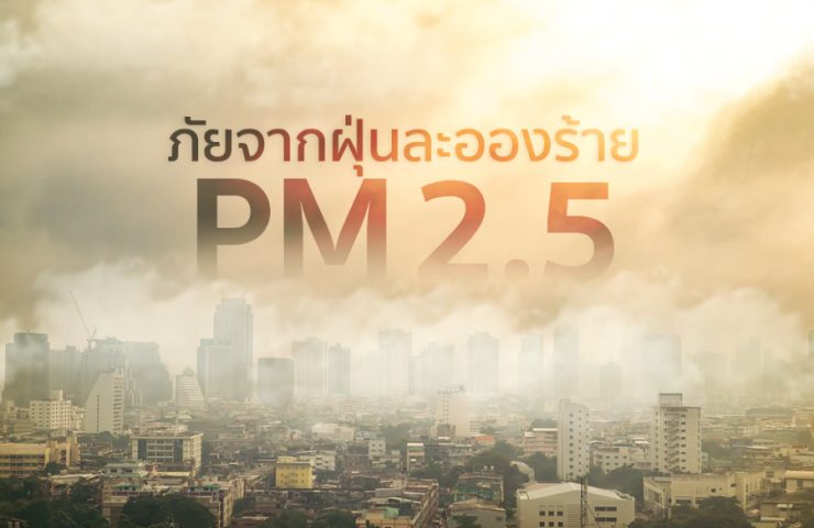 PM2.5-900×600-1