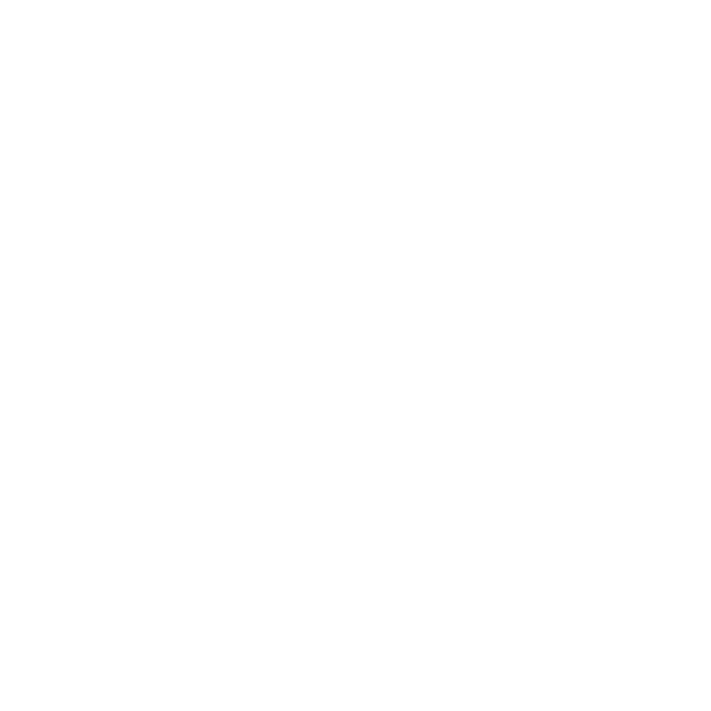 icon-1-02