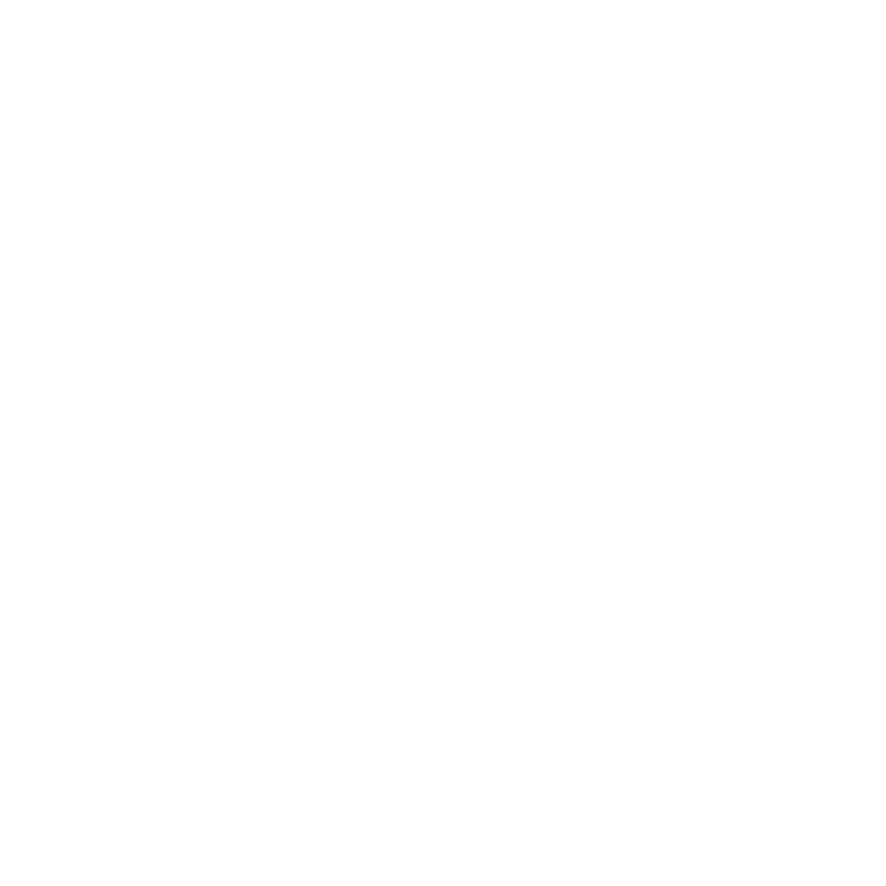 icon-1-03
