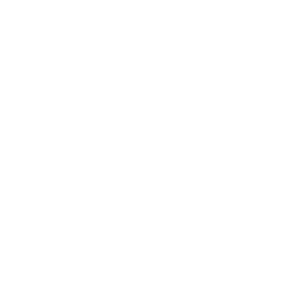 icon-1-04